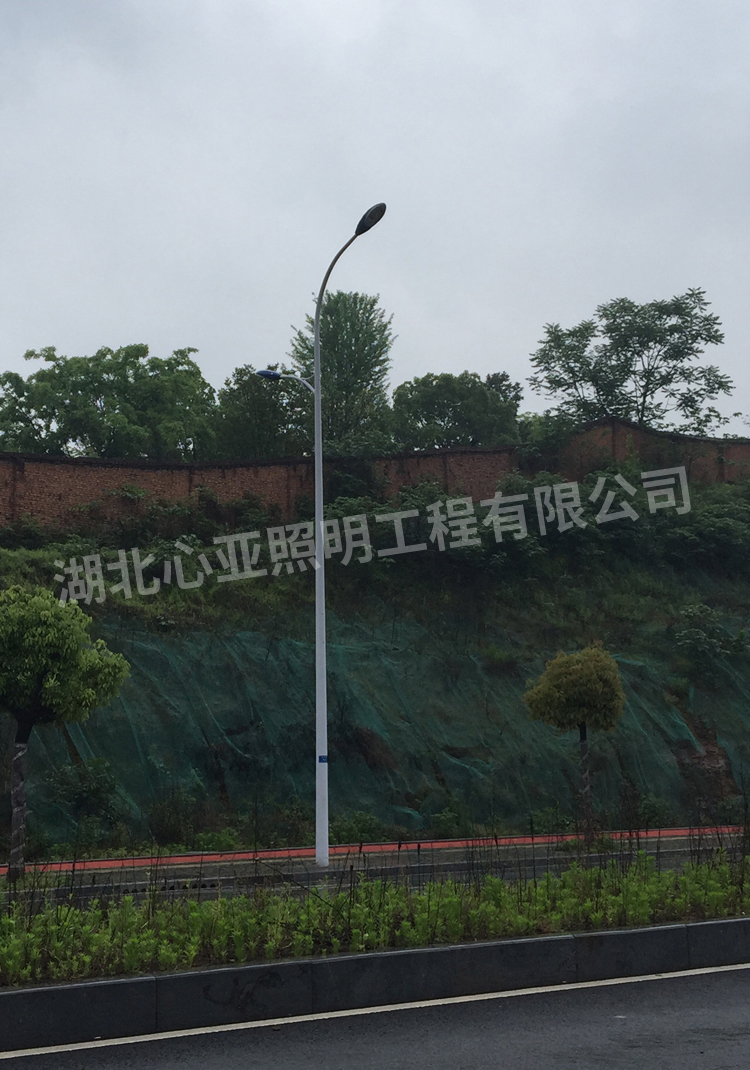 宜昌市開發區大連路市電路燈4
