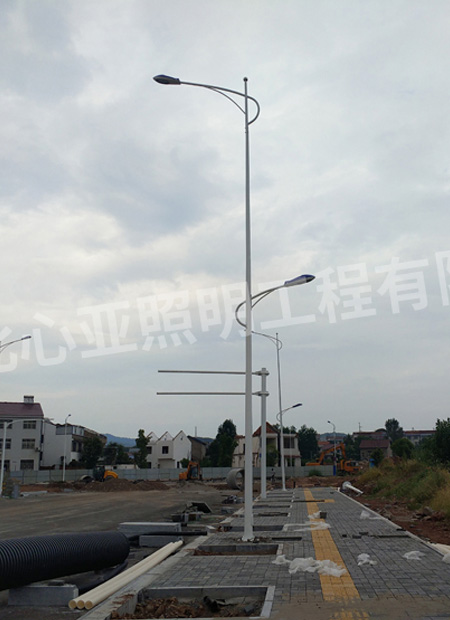 遠安縣星球森工產(chǎn)業(yè)園工區(qū)市電路燈照明項目