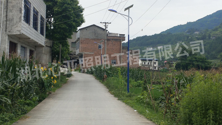 重慶開州區(qū)樂園村太陽能路照明項目