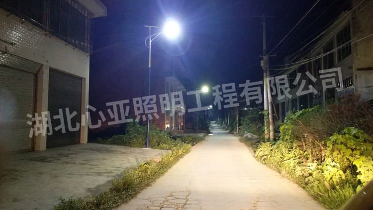 重慶開州區(qū)樂園村太陽能路照明項目