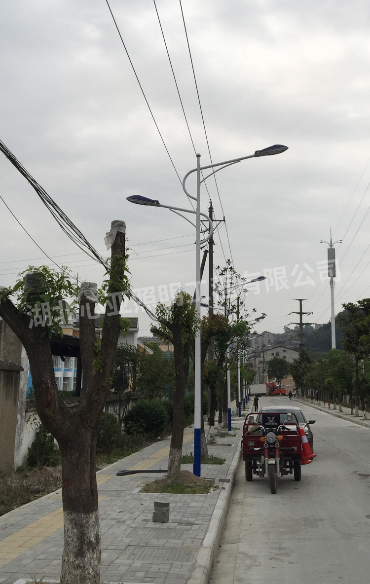 秭歸縣九里鎮市政改造雙頭市電路燈