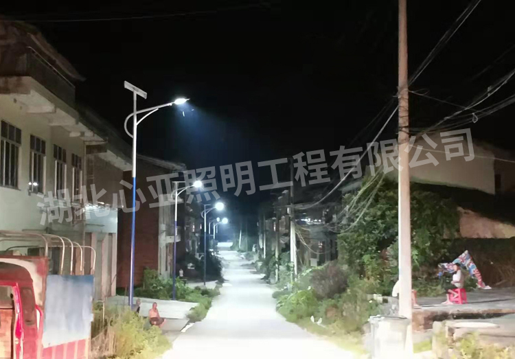 重慶開州區(qū)樂園村太陽能路照明項目